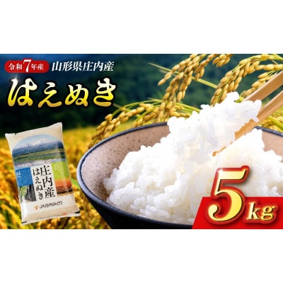 令和7年産【精米】はえぬき 5kg×1袋 白米 山形県庄内産