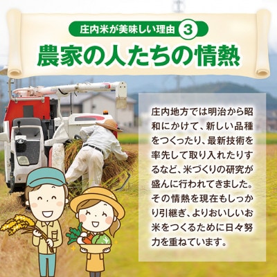令和7年産【精米】雪若丸 5kg×1袋 白米 山形県庄内産