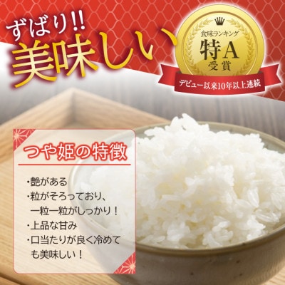 令和7年産【精米】特別栽培米つや姫　10kg(5kg×2袋)