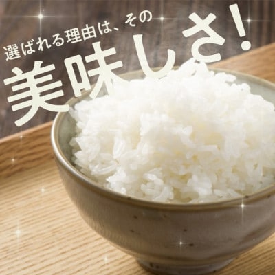 [新米受付]令和8年産【精米】はえぬき 5kg×1袋 白米 山形県庄内産