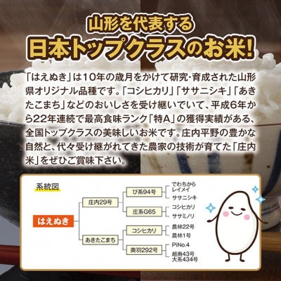 [新米受付]令和8年産【精米】はえぬき 10kg(5kg×2袋) 白米 山形県庄内産