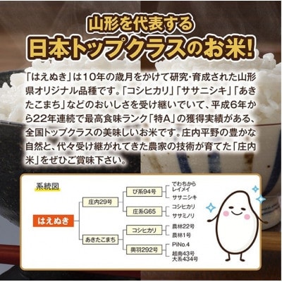 [新米受付]令和8年産【精米】はえぬき 15kg(5kg×3袋) 白米 山形県庄内産