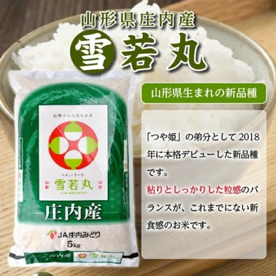 【毎月定期便】【精米】雪若丸 5kg×1袋 白米 山形県庄内産全3回