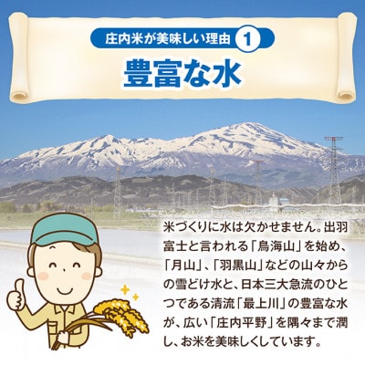 【毎月定期便】特別栽培米 つや姫【精米】5kg 全12回