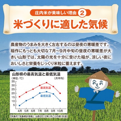 【毎月定期便】特別栽培米 つや姫【精米】5kg 全12回