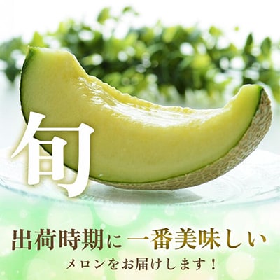 山形県庄内産　プレミアムメロン赤青2玉入
