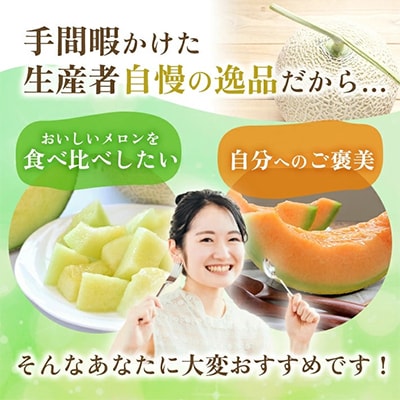 山形県庄内産　プレミアムメロン赤青2玉入