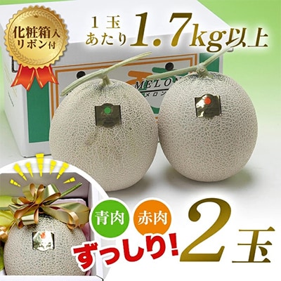 山形県庄内産　プレミアムメロン赤青2玉入