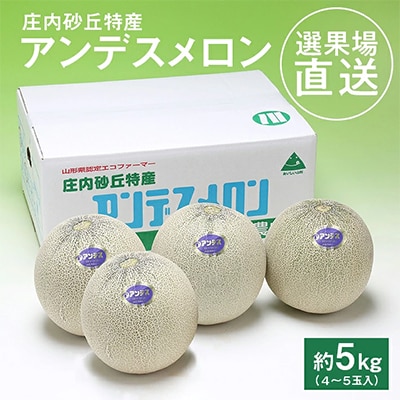 選果場直送!アンデスメロン約5kg(4～5玉入)