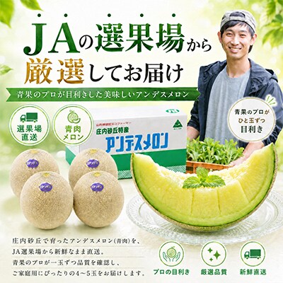 選果場直送!アンデスメロン約5kg(4～5玉入)
