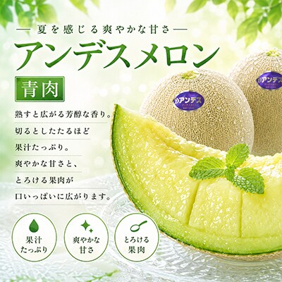 選果場直送!アンデスメロン約5kg(4～5玉入)