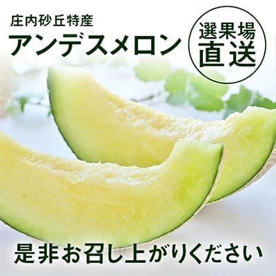 選果場直送!アンデスメロン約5kg(4～5玉入)