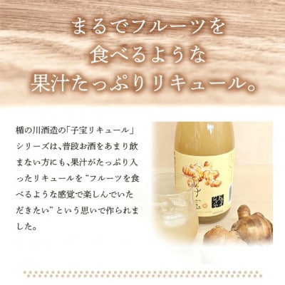 酒田の酒屋厳選　子宝リキュール 番外編ドライジンジャー　720ml×1本