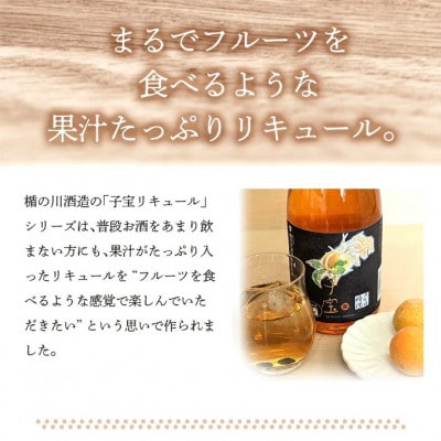 酒田の酒屋厳選　子宝リキュール　大吟醸梅酒　720ml×1本