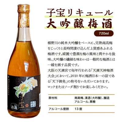 酒田の酒屋厳選　子宝リキュール　大吟醸梅酒　720ml×1本