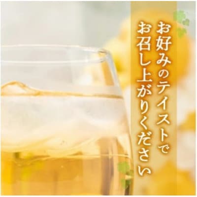 酒田の酒屋厳選　子宝リキュール　大吟醸梅酒　720ml×1本