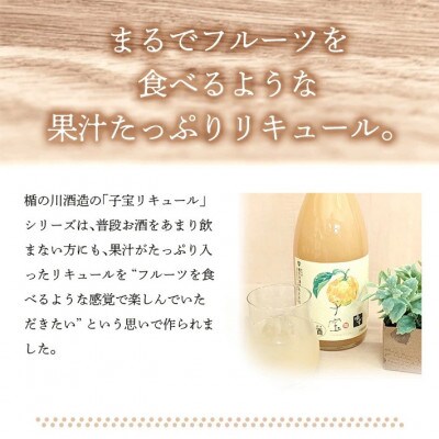 酒田の酒屋厳選　子宝リキュール 番外編ゆず　1800ml×1本