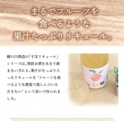 酒田の酒屋厳選　子宝リキュール 山形りんご　720ml×2本