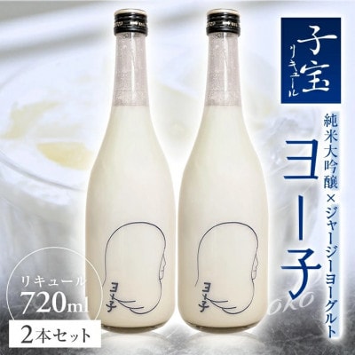 酒田の酒屋厳選　子宝リキュール ヨー子　720ml×2本