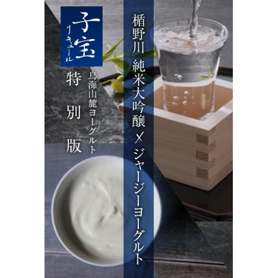 酒田の酒屋厳選　子宝リキュール ヨー子　720ml×2本