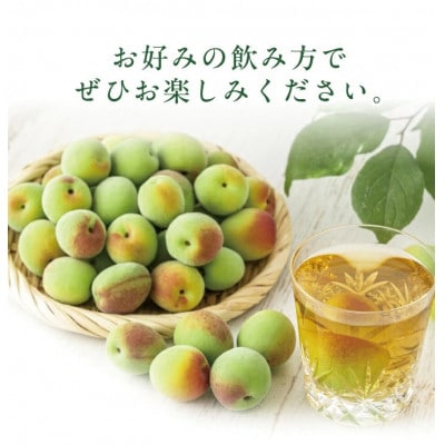 酒田の酒屋厳選　上喜元 うめしゅ　720ml×2本