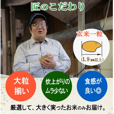 ◆新米◆【栽培期間中農薬不使用】つや姫 精米5kg 大粒LLサイズ以上厳選【令和7年産】