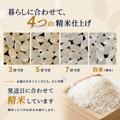【栽培期間中農薬不使用】つや姫 精米5kg 大粒LLサイズ以上厳選 精米仕立て【令和8年産】