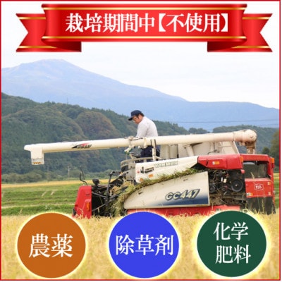 ◆新米◆【栽培期間中農薬不使用】コシヒカリ 精米5kg 大粒LLサイズ以上厳選 令和7年産