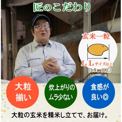 【匠のお米】＜栽培期間中農薬不使用 コシヒカリ 精米5kg＞令和5年産
