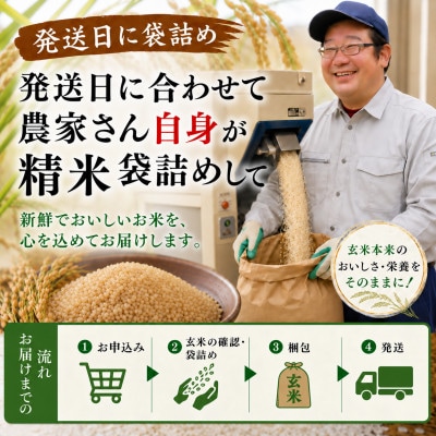 【栽培期間中農薬不使用】つや姫 玄米5kg 大粒LLサイズ以上厳選  令和8年産