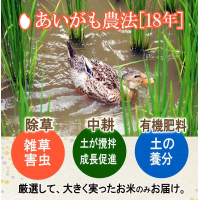【令和4年産】【有機JAS認証米】ササニシキ 玄米5kg 合がも農法 栽培期間中農薬不使用 !