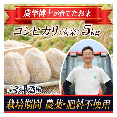 【栽培期間中農薬不使用】コシヒカリ 玄米5kg 農学博士が栽培 山形県酒田 令和5年産