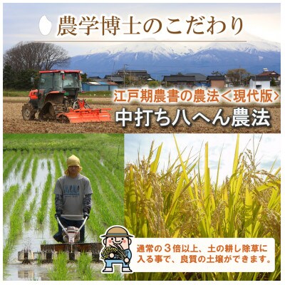 【栽培期間中農薬不使用】コシヒカリ 玄米5kg 農学博士が栽培 山形県酒田 令和5年産