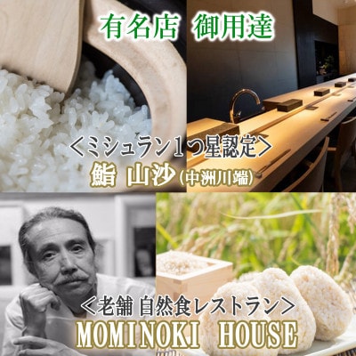 【栽培期間中農薬不使用】コシヒカリ 玄米5kg 農学博士が栽培 山形県酒田 令和5年産