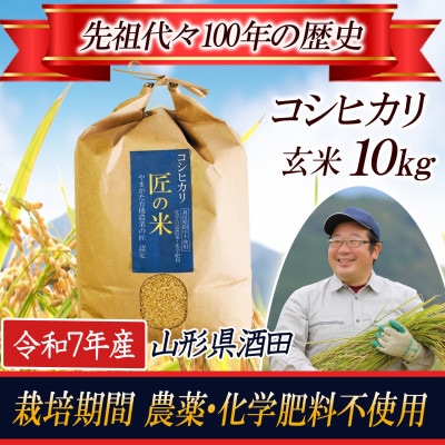 栽培期間中農薬不使用 コシヒカリ 玄米 10kg 大粒LLサイズ以上厳選【令和7年産】