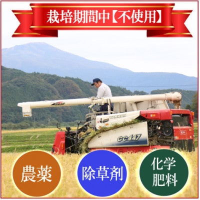 栽培期間中農薬不使用 コシヒカリ 玄米 10kg 大粒LLサイズ以上厳選【令和7年産】