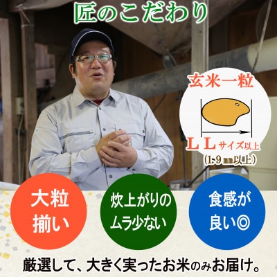 栽培期間中農薬不使用 コシヒカリ 玄米 10kg 大粒LLサイズ以上厳選【令和7年産】