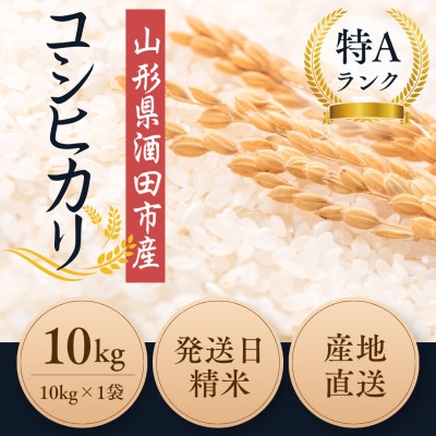 ◆新米◆【栽培期間中農薬不使用】コシヒカリ 精米10kg 大粒LLサイズ以上厳選 令和7年産