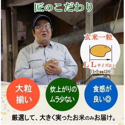 ◆新米◆【栽培期間中農薬不使用】つや姫 玄米10kg 大粒LLサイズ以上厳選 令和7年産