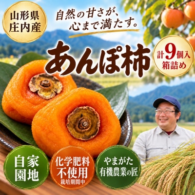 【完全無添加】庄内あんぽ柿 9個入(3袋×3個)箱詰め　干し柿 山形県酒田市産 令和8年産