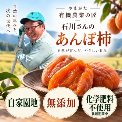 【完全無添加】庄内あんぽ柿 9個入(3袋×3個)箱詰め　干し柿 山形県酒田市産 令和8年産