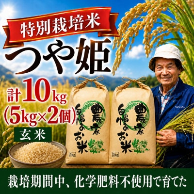 ◆新米予約◆【特別栽培米】つや姫 玄米10kg|栽培期間中 化学肥料不使用 発送日に袋詰め 令和8年