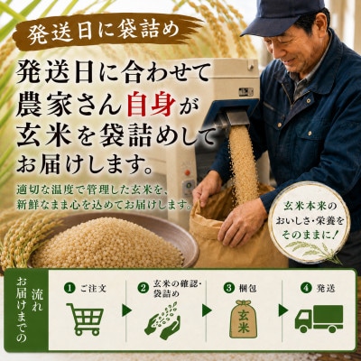 ◆新米予約◆【特別栽培米】つや姫 玄米10kg|栽培期間中 化学肥料不使用 発送日に袋詰め 令和8年