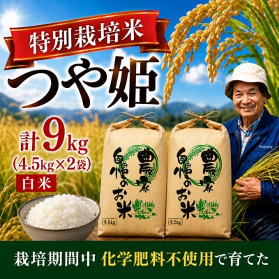 ◆新米予約◆【特別栽培米】つや姫 精米9kg|栽培期間中 化学肥料不使用 精米仕立て 令和8年産
