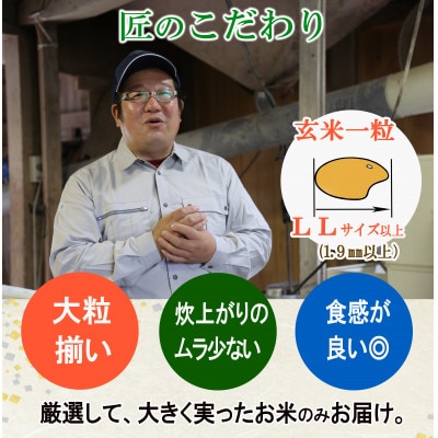 【栽培期間中農薬不使用】ひとめぼれ《3分づき》5kg 大粒LLサイズ以上厳選 精米仕立て 令和8年産