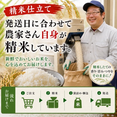 【栽培期間中農薬不使用】ひとめぼれ《5分づき》5kg 大粒LLサイズ以上厳選 精米仕立て 令和8年産