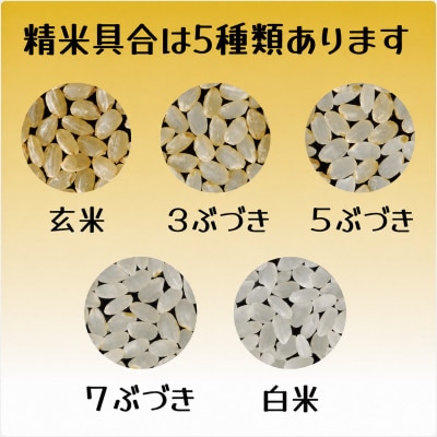【栽培期間中農薬不使用】ひとめぼれ《7分づき》5kg 大粒LLサイズ以上厳選 精米仕立て 令和8年産