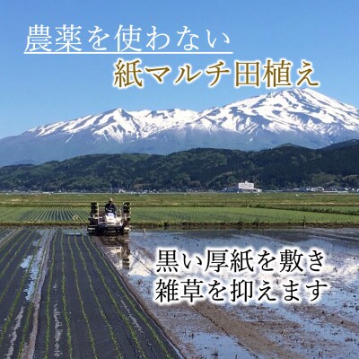 有機栽培米コシヒカリ3kg(白米)