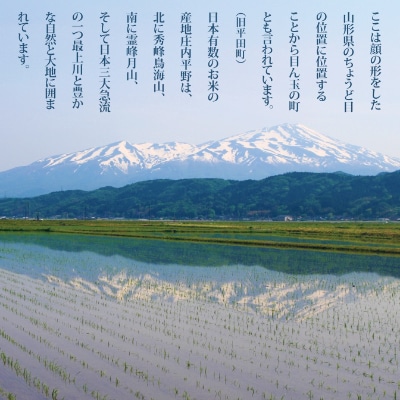 はえぬき ひとめぼれ 玄米 各5kg 計10kg