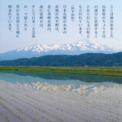 特別栽培米 一等米 つや姫 玄米 5kg×2袋 計10kg